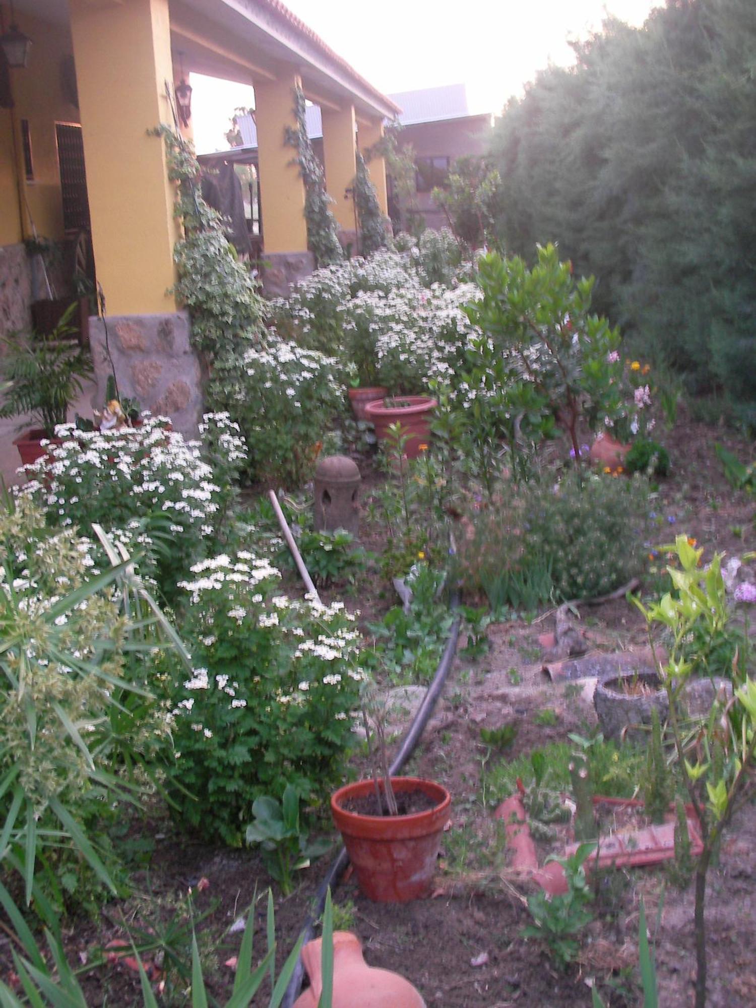 La Posada Hipica Rosalejo Kültér fotó